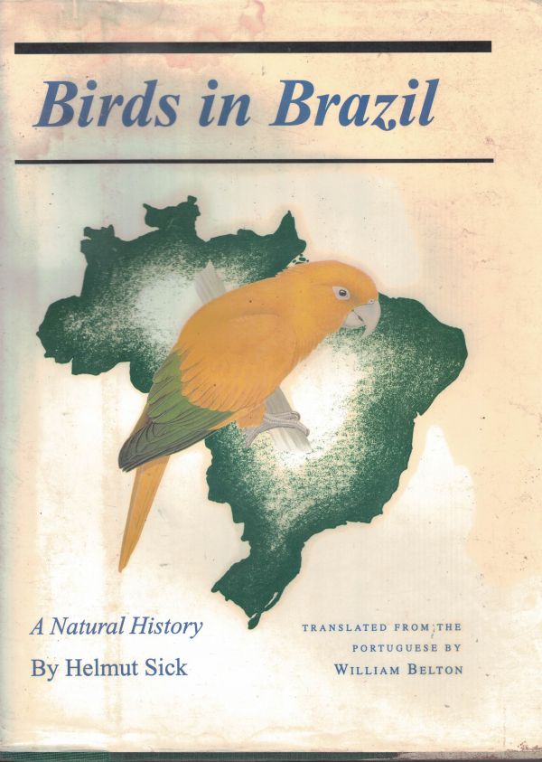 Birds in Brasil